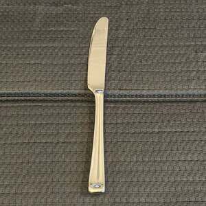 Gorham Scoop Stainless Steel Mirror Solid French Dinner Knife